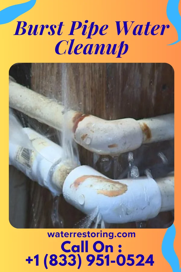 Burst Pipe Water Cleanup in Wadley, GA