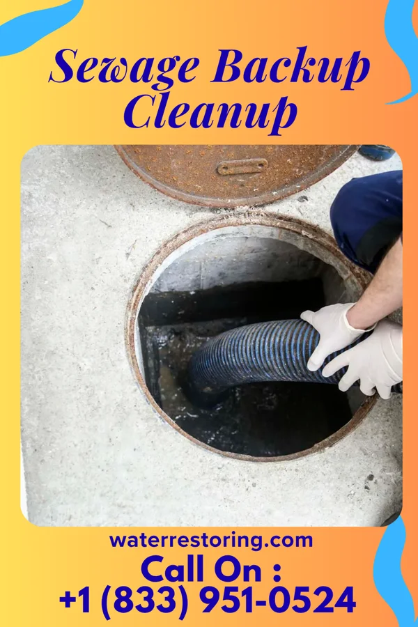 Sewage Backup Cleanup in Wadley, GA